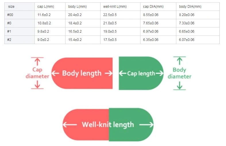 Size and structure Size and structure