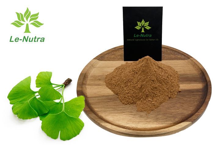ginkgo biloba extract powder ginkgo biloba extract powder