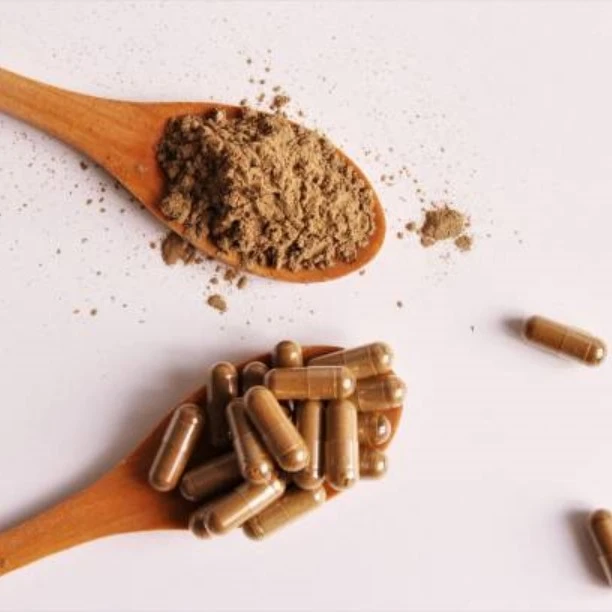 Notoginseng Extract