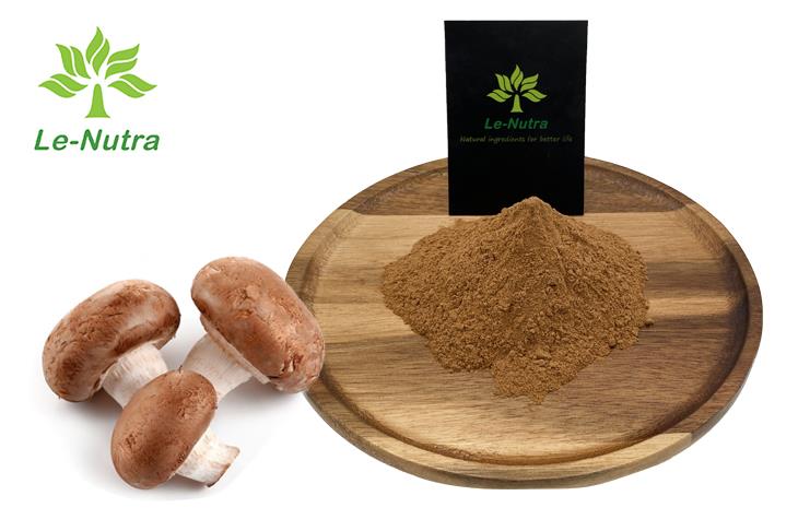 Shiitake Mushroom Extract Powder