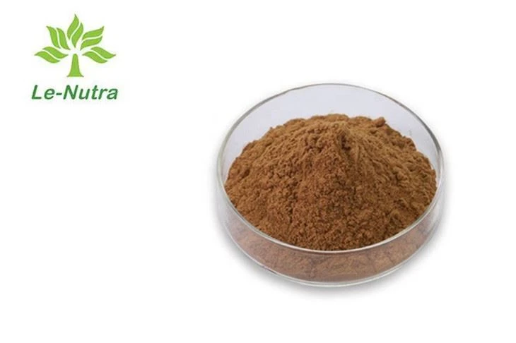 Dandelion Extract Powder