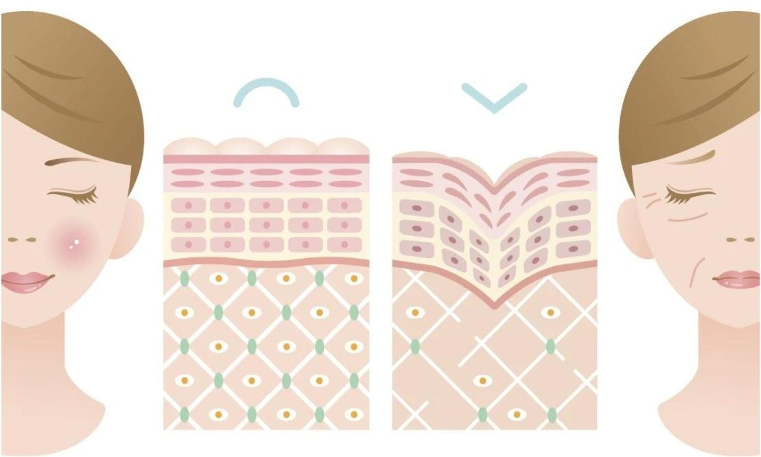 How to supplement collagen?