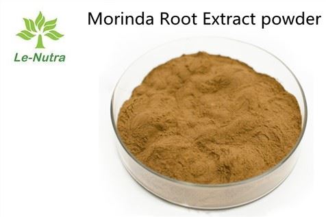 Morinda Root Extract