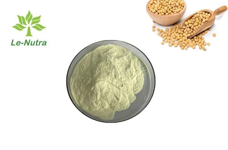Soybean Phosphatidylcholine Powder