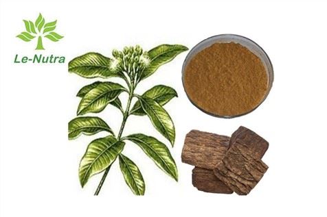 Cortex Eucommiae