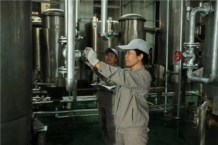 Broccoli Extract Powder