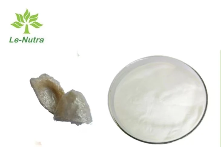 N Acetylneuraminate