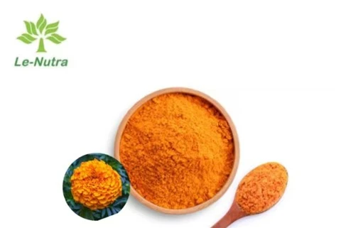 Xanthophyll Powder