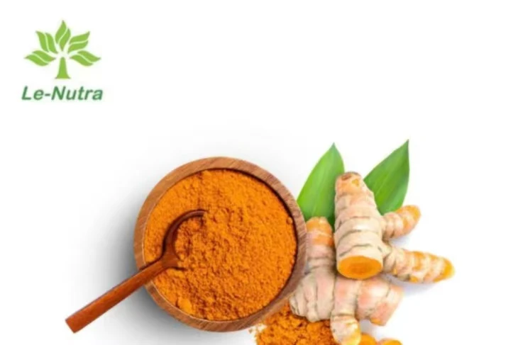 Liposomal Curcumin Powder