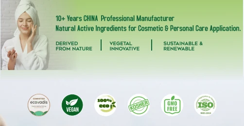 Hydrolyzed Corn Protein Powder