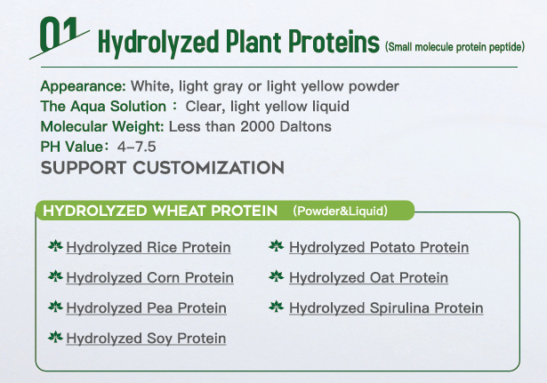 Hydrolyzed Soy Protein