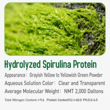 Hydrolyzed Spirulina Protein