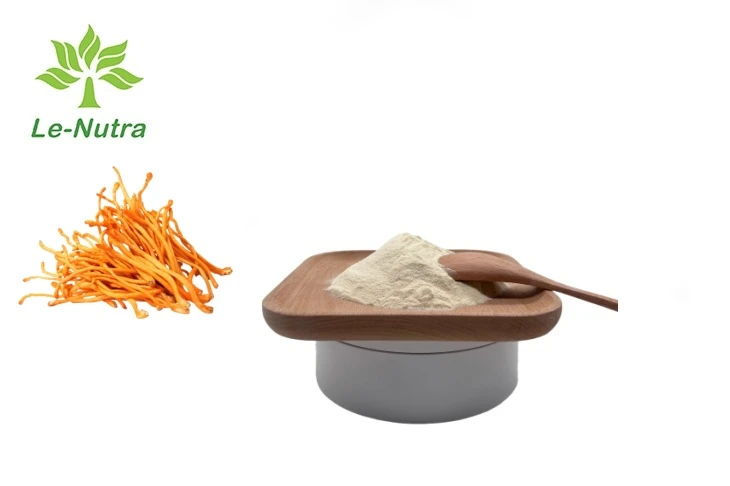 Cordyceps Militaris Peptide