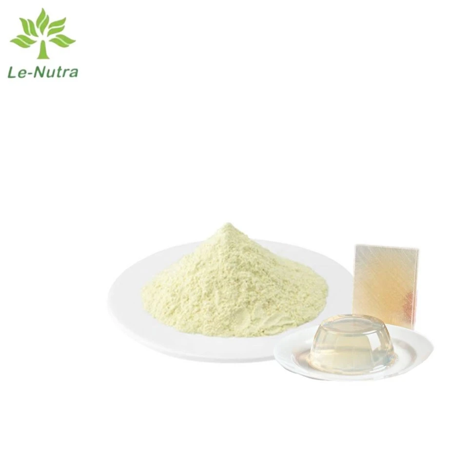 Gelatin Powder Bulk