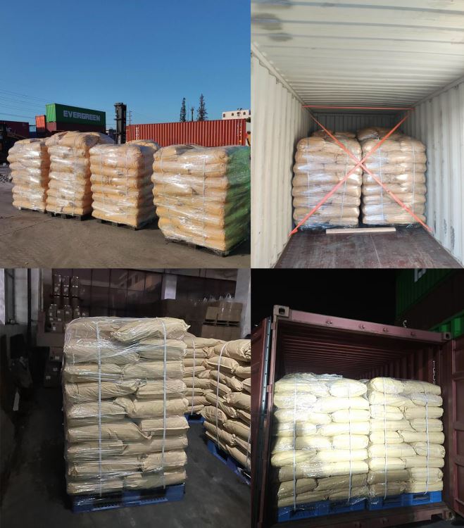 Sunflower seed protein powder