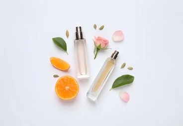 Grapefruit Peel Extract121 Grapefruit Peel Extract121